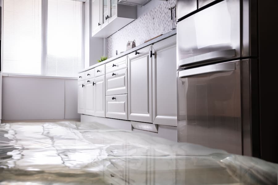 dishwasher flooding.JPG
