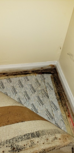 BasementFirst4.jpg