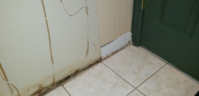 ShowerPanFirst2.jpg
