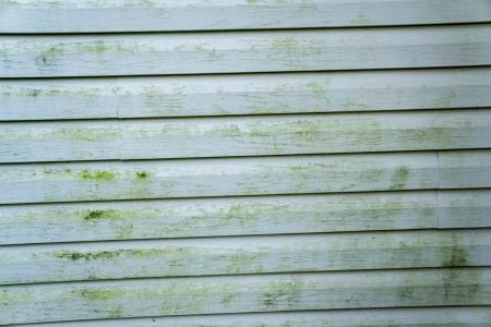 Innovative Mold Removal Solutions for Round Rock Property Owners