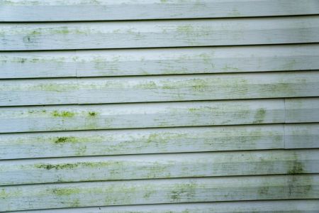 Innovative Mold Removal Solutions for Round Rock Property Owners