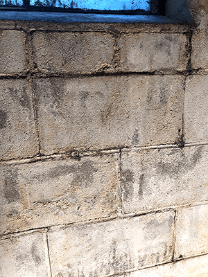 BasementFirst6.png