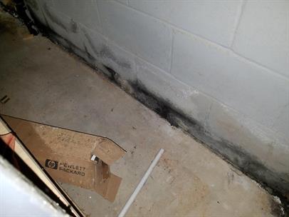 basement-mold-First81.jpg