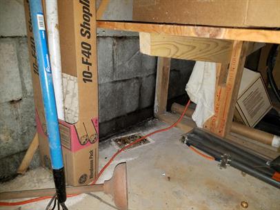 basement-mold-Second81.jpg