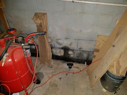 basement-mold-third81.jpg