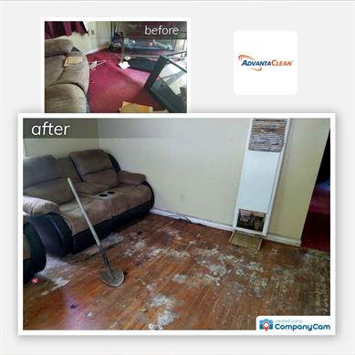 broken-fish-tank-First66.jpg