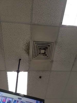CeilingMold1.jpg