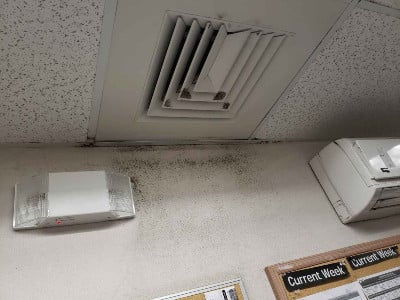 CeilingMold2.jpg