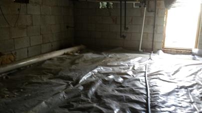 crawlspace-mold-remediation-First107.jpg