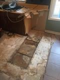Lorton-Kitchen-Mold-Before-72.jpg