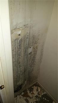 mold-bathroom-Fourth105.jpg