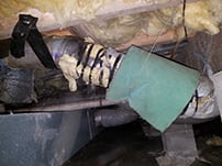 Mold-in-Crawl-Space-Midlothian-VA-First69.jpg