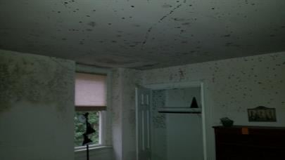 mold-Second104.jpg