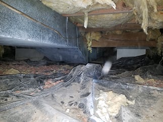 Moldy-Crawl-Space-First68.jpg