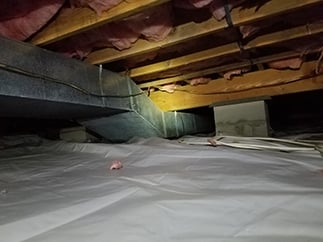 New-Vapor-Barrier-Install-Second68.jpg