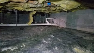 pest-control-First61.jpg