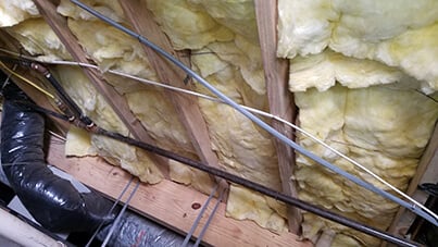 pest-control-Second61.jpg
