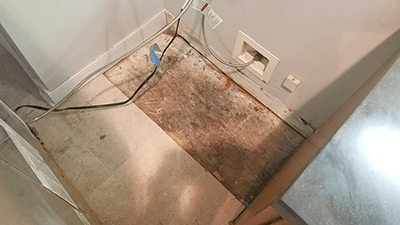 Richmond-VA-Integrity-Realtor-Second39.png