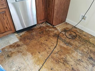 water-loss-First118.jpg