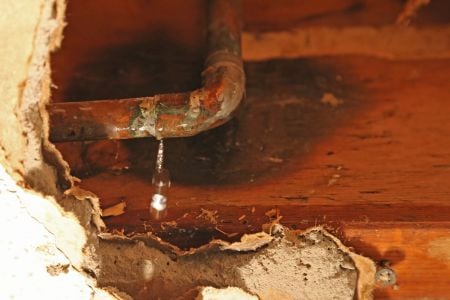 Finding the Hidden Water Requiring Mitigation in Your Walnut Creek Home