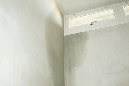 moisture on a wall next to a window