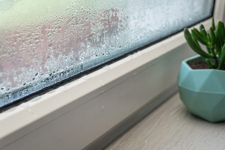 Close up of condensation on PVC window, white plastic window, house plant in the background, selective focus. Indoor plants and humidity concept.