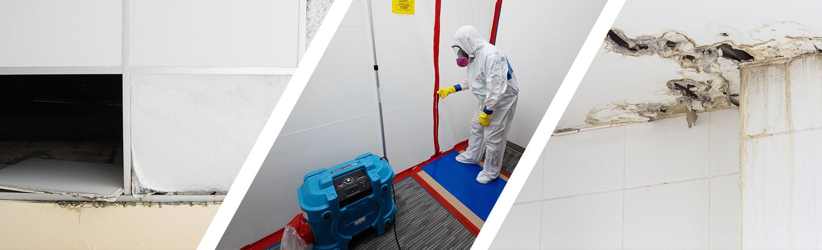 Commercial-IAQ-Mold-Removal-grid.jpg