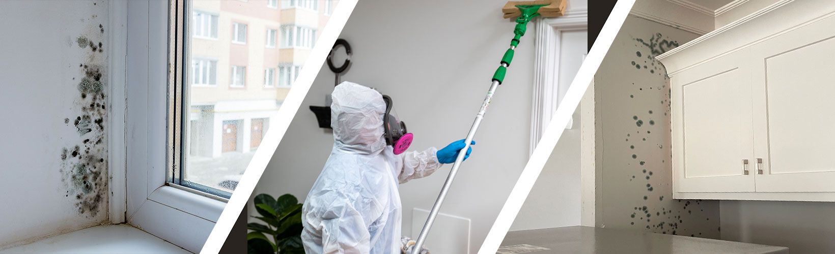 Residential-Mold-Removal-grid.jpg